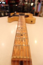 1951-TL-BLD2
