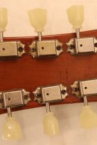 1952-LP-STD-SB-Con-TG0141