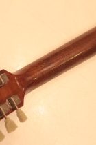 1952-LP-STD-SB-Con2-TG0304