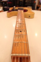 1952-TL-BLD2