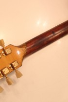 1954-ES295-GD2