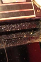 1955-LP-CTM-BLK3
