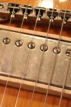 1955-LP-STD-COM-SB