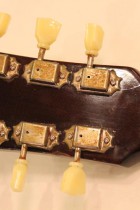 1955-LP-STD-COM-SB