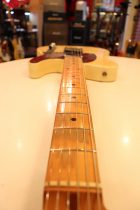 1955-TL-BLD2