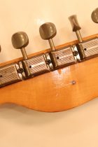 1955-TL-BLD2