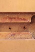 1957-LP-SP-TVY5-TG0318