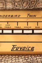 1960s-Selmer-Thunderbird-Twin Fifty-Crocoskin-TA0035