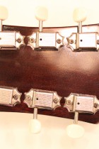 1962-Epiphone-Sorrento-SB2