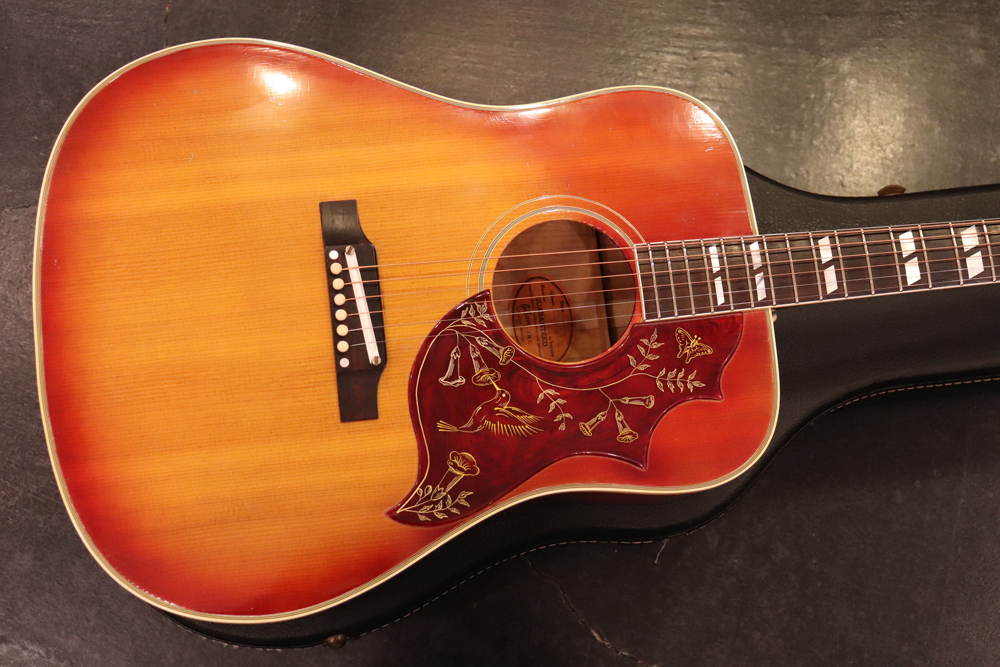 Gibson 1962y[Hummingbird[“Maple Body”[Long Scale | GUITAR