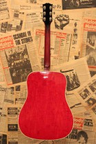 1963-DOVE-NAT2