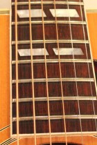 1963-DOVE-NAT2