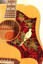 1963-DOVE-NAT2