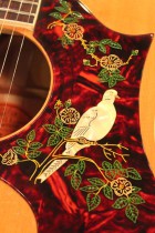 1963-DOVE-NAT2