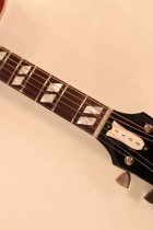 1963-DOVE-NAT2