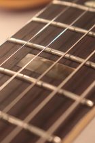 1963-ES335TD-CH2-TG0306