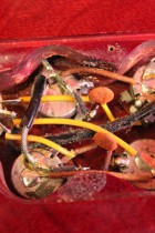 1963-SG-STD-CH5