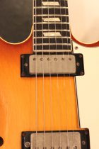 1965-Epiphone-Riviera-SB2
