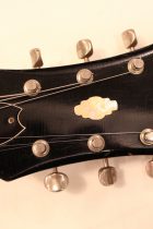 1965-Epiphone-Riviera-SB2