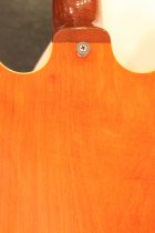 1965-Epiphone-Riviera-SB2