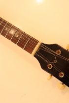 1965-SG-SPL-WHT-TG0040