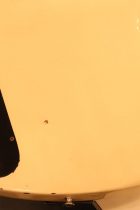 1965-SG-STD-WHT-TG0091