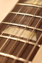 1965-SG-STD-WHT-TG0091