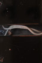 1966-EDS1275-BLK-TG0290