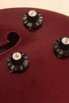 1966-ES335-SPBG-TG0309