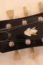 1966-ES335-SPBG-TG0309