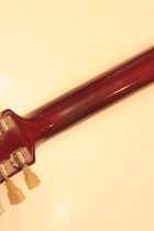 1966-ES335-SPBG-TG0309