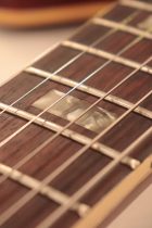 1966-ES335-SPBG-TG0309