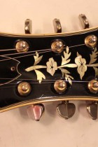 1966-Epiphone-E212T-Sheraton-CH2