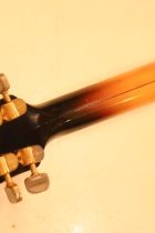1966-GRETSCH-6192-Country-Club-SB-TO0034