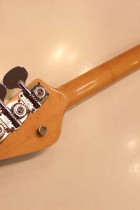 1967-Coronado-Bass2-IBM