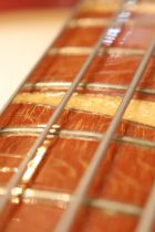 1967-Rickenbacker-4005-FG-TO0002