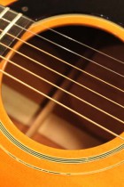 1968-Epiphone-FT79-Texan3