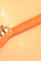 1968-TL-THIN-NAT-TF0239