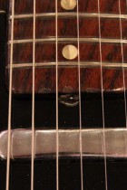 1969-All-Rose-TL2