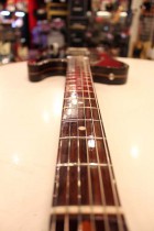 1969-All-Rose-TL2