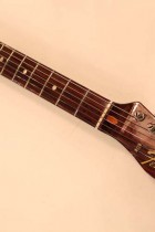 1969-All-Rose-TL2