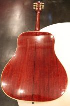 1969-CW-NAT-TG0030