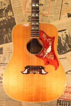 1969-DOVE-NAT