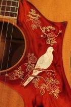 1969-DOVE-NAT