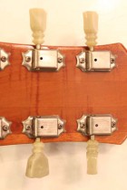 1969-LP-DLX-GT2