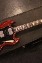 1969-SG-STD-CH2