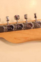 1969-TL-BLD-R