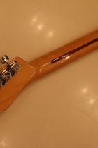 1969-TL-Thinline-NAT3