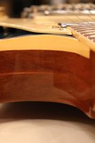 1974-LP-DLX BSP-TG0035