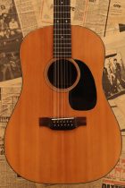 1974-Martin-D12-20-TO0038